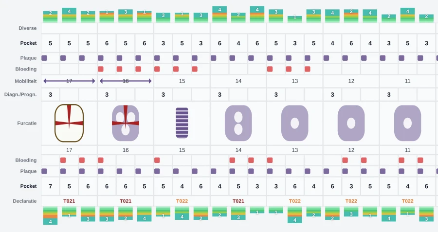 Paro-status in Evo met pockets, bloeding, plaque en furcaties per element
